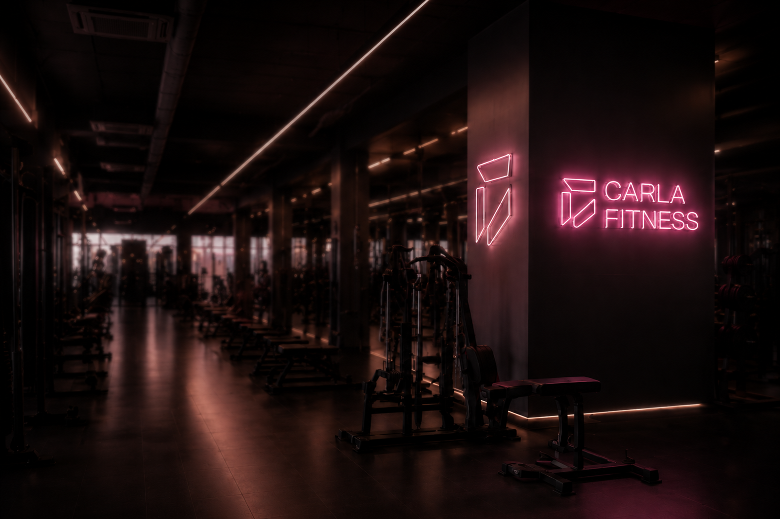 Personas entrenando en Carla Fitness